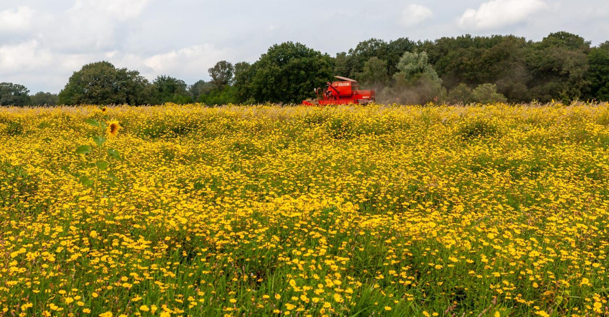 Hoeve Springendal Erf&Bron Hezingen المظهر الخارجي الصورة