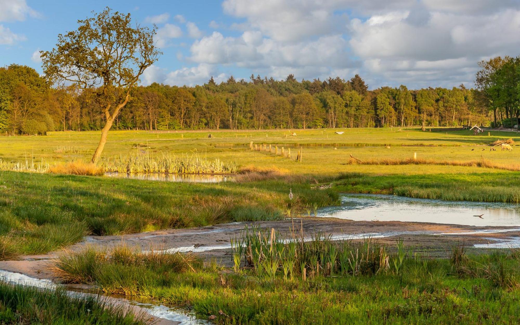 Hoeve Springendal Erf&Bron Hezingen المظهر الخارجي الصورة