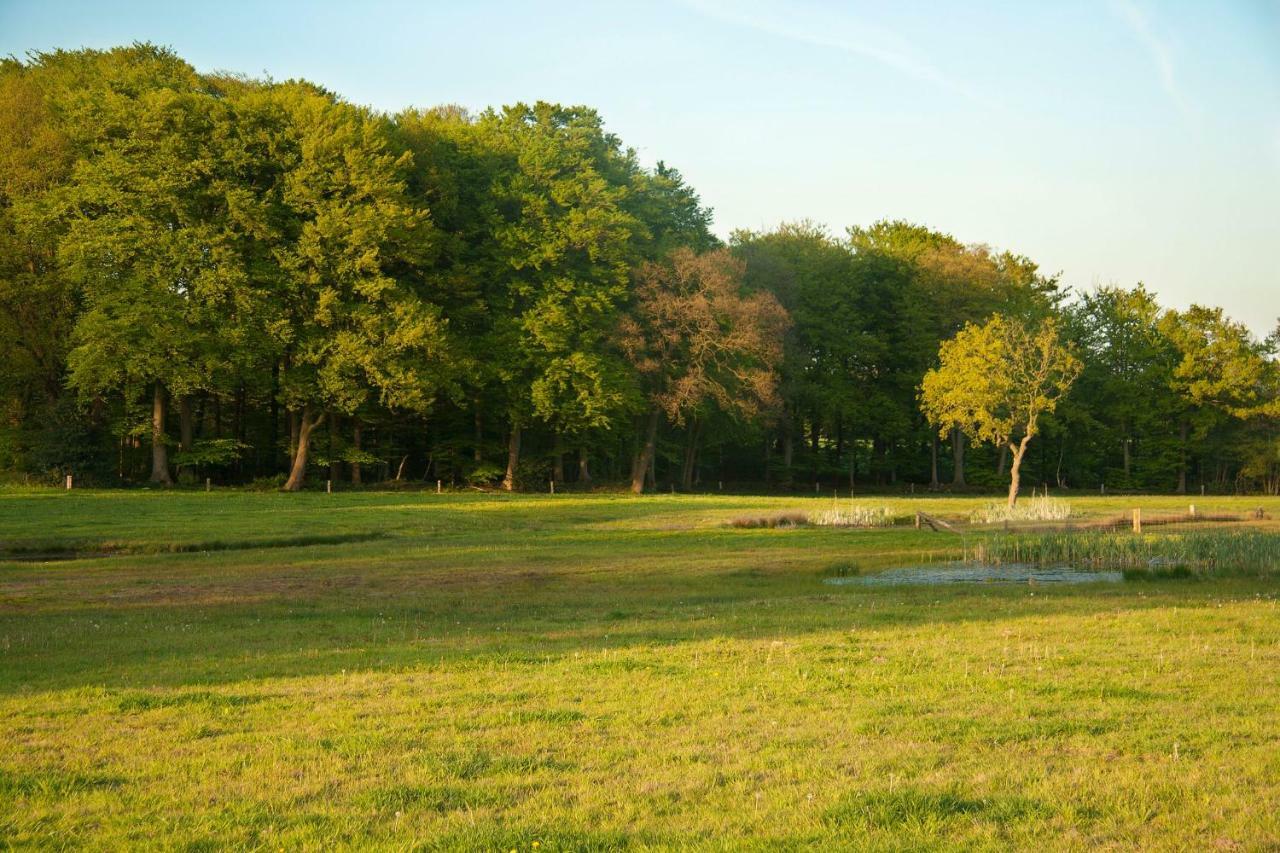 Hoeve Springendal Erf&Bron Hezingen المظهر الخارجي الصورة