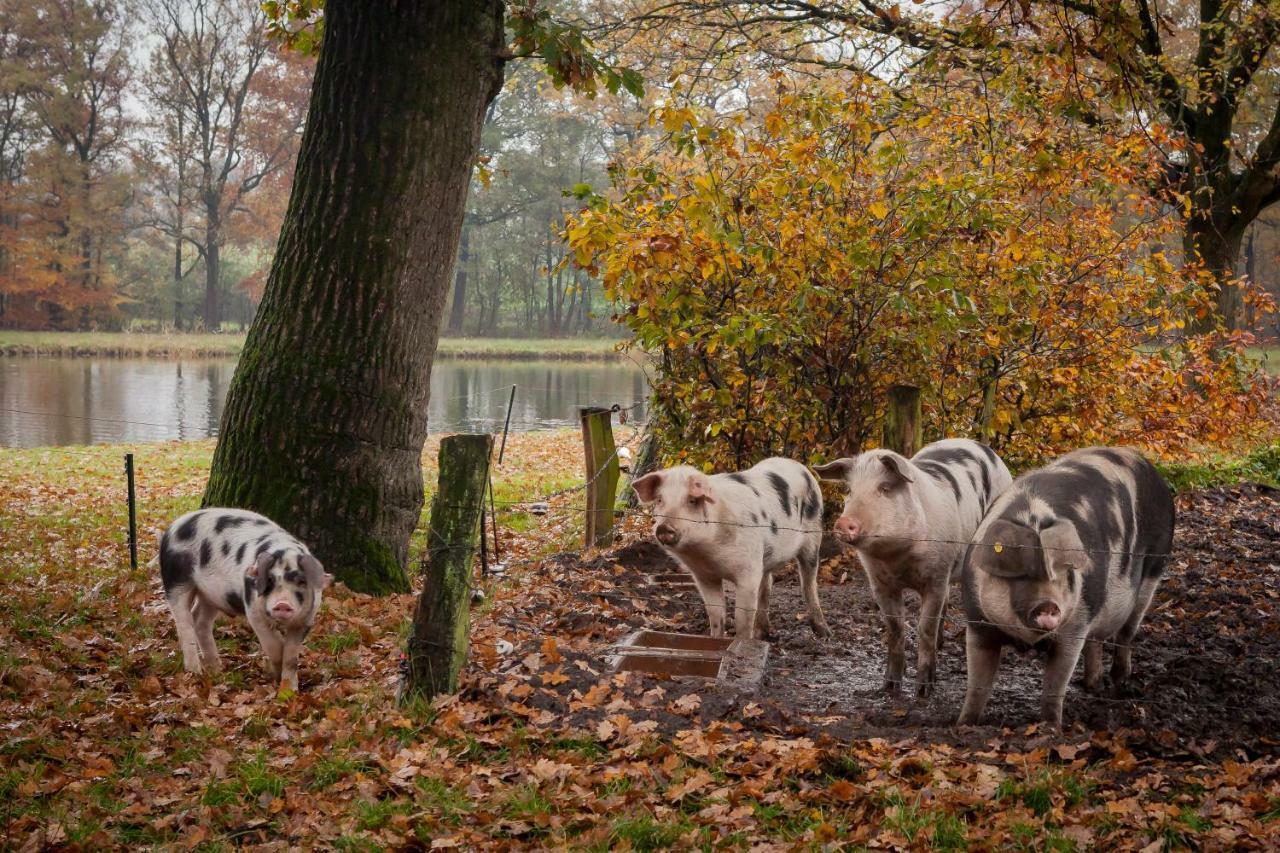 Hoeve Springendal Erf&Bron Hezingen المظهر الخارجي الصورة